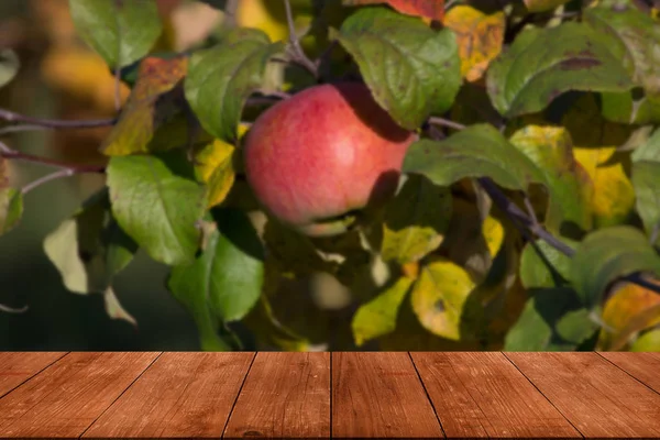 Appelboom Oude Donkere Houten Tafel Bord Bladeren Als Natuurlijke Achtergrond — Stockfoto