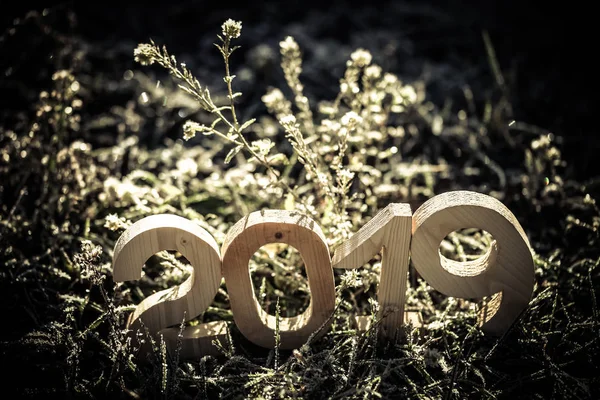 Wooden Number 2019 Happy New Year 2019 — Stock Photo, Image