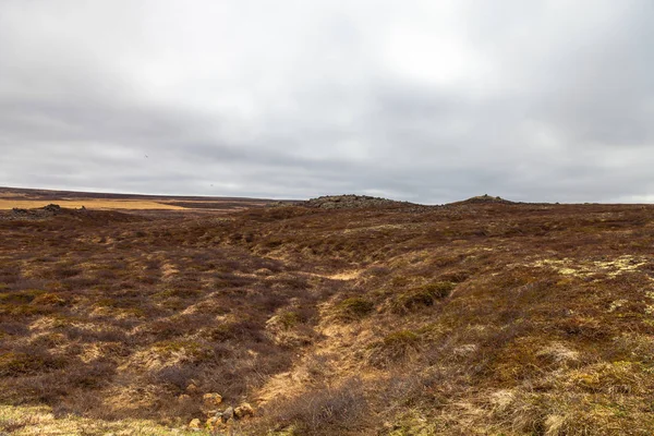 Steenachtige Rotsachtige Verlaten Landschap Van Ijsland Toned — Stockfoto