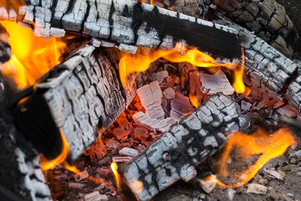 Branden Van Houten Logboeken Koken Vuur Warme Avond Schittert Lucht — Stockfoto