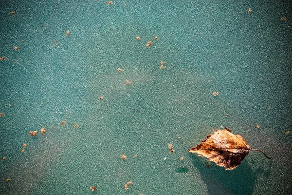 在彩色玻璃上的霜冻为一个自然的冬天背景 — 图库照片