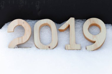 Yeni yıl ve Noel Tema çam dalları ve kar. 2019. seçici odak.