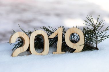 Yeni yıl ve Noel Tema çam dalları ve kar. 2019. seçici odak.