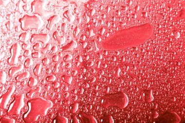 Bir renk arka plan üzerinde Su damlacıkları. Gri. Sığ derinlik-in tarla. Seçici odak. Bulanıklık