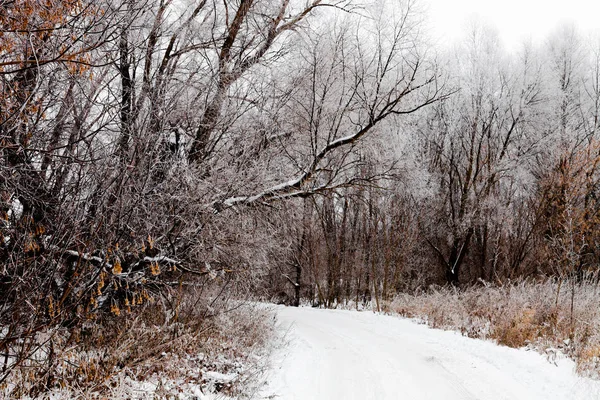 Russische Provinciale Natuurlijke Landschap Bij Somber Weer Toned — Stockfoto