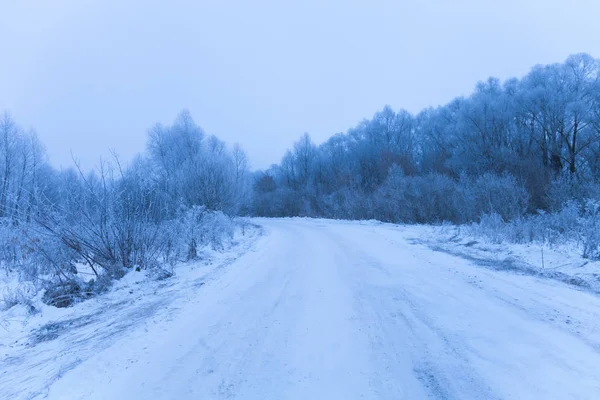 Russische Provinciale Natuurlijke Landschap Bij Somber Weer Toned — Stockfoto