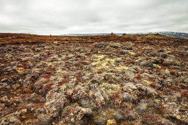 Taşlık kayalık ıssız manzara İzlanda'nın. Tonda.