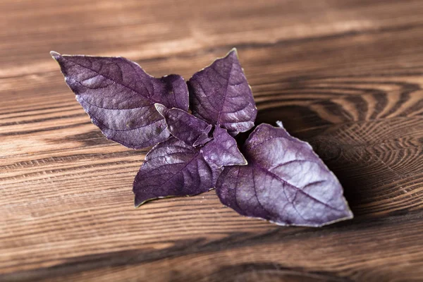 上が古い木の板に横になっている紫バジルの葉します — ストック写真