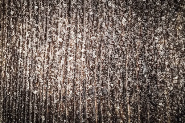 Frost Egy Régi Fából Készült Felületre Téli Reggel Harmat Fagyasztás — Stock Fotó