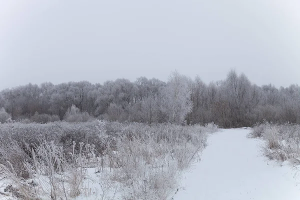 Ryska Provinsiella Naturlandskap Dystra Väder — Stockfoto