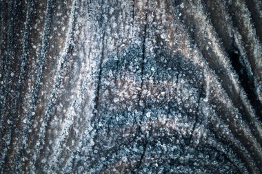 Frost eski bir ahşap yüzeyde. Kış çiğ ve donma. 