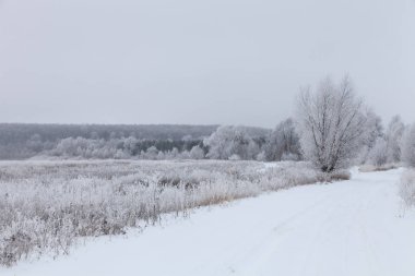 Güzel kış manzara Rus ili