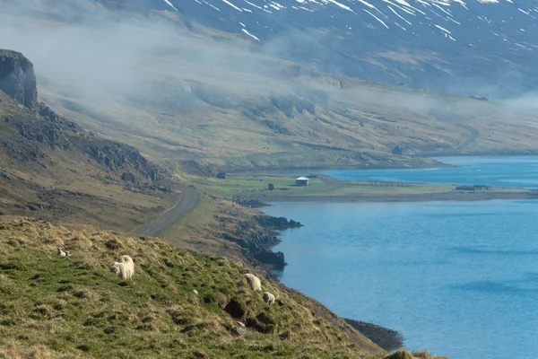 Foggy paysage des fjords d'Islande — Photo