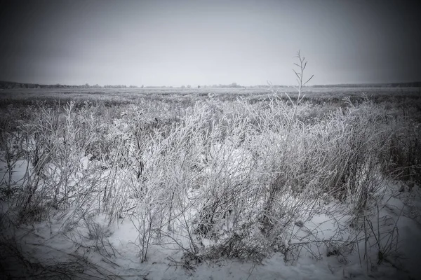 Çimenlerin üzerinde buz. Kasvetli Rus il doğal manzara — Stok fotoğraf