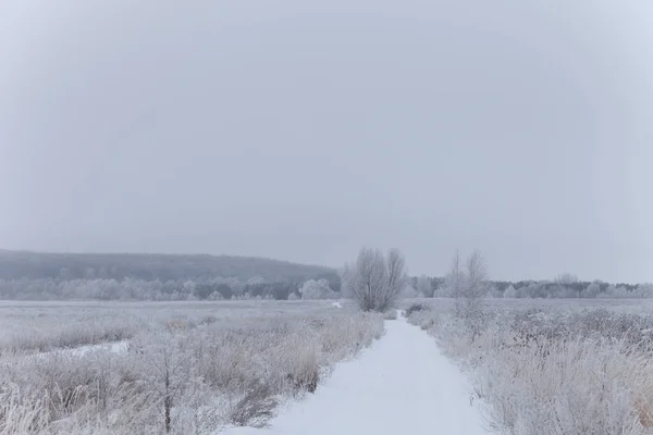 Paisagem natural provincial russa em clima sombrio — Fotografia de Stock