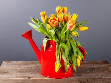 Koyu backg üzerinde kırmızı bir sulama olabilir parlak lale buketi