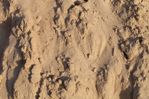 Du sable sur la plage. Contexte naturel. Gros plan — Photo