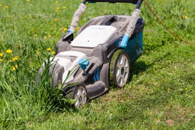 Bahar bahçesinde çim biçme makinesi