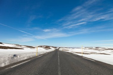 İzlanda fiyortlarında asfalt yol