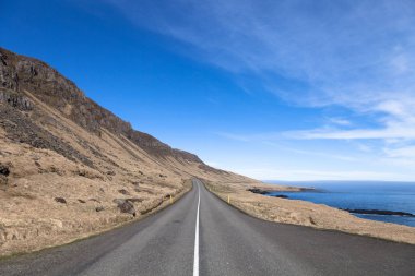 İzlanda güzel çok renkli bahar manzara