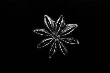 Badyan (anason) siyah bir arka plan üzerinde yıldız. Tonda