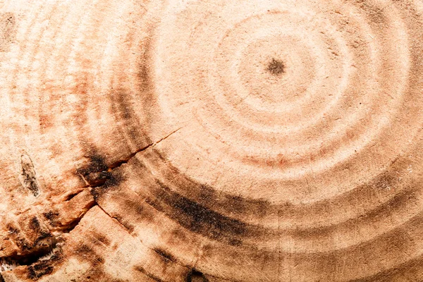 Nova textura rústica de madeira queimada para fundo. Resistência a intempéries — Fotografia de Stock