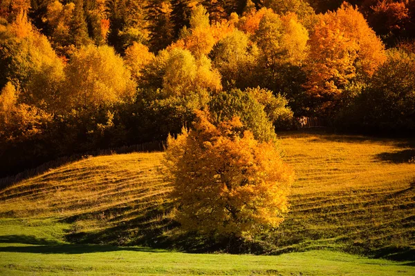 Geweldig herfst berglandschap in Svaneti. Georgië. Afgezwakt — Stockfoto