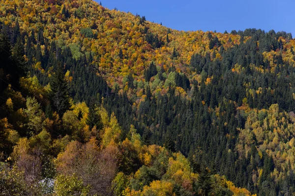 Svaneti'de muhteşem sonbahar dağ manzarası. Gürcistan