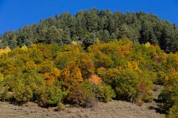 Wunderschöne herbstliche berglandschaft in svaneti. Georgien — Stockfoto