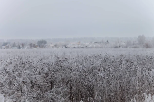 Paisagem natural provincial russa em clima sombrio — Fotografia de Stock