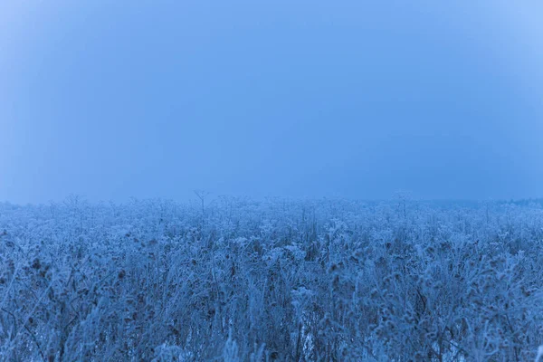 Frost na trawie. Rosyjski prowincjonalny krajobraz naturalny w ponury — Zdjęcie stockowe