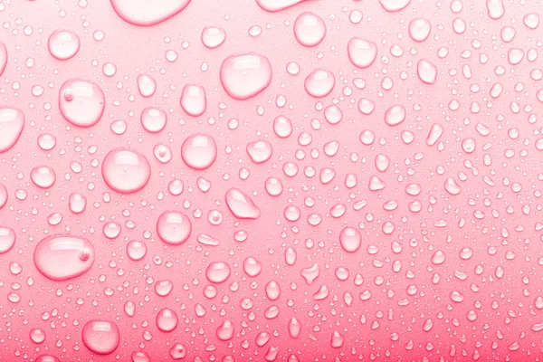 Капли воды на цветном фоне. Выборочный фокус. Розовый. Тон Лицензионные Стоковые Изображения