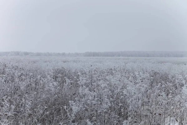 Frost na trawie. Rosyjski prowincjonalny krajobraz naturalny w ponury — Zdjęcie stockowe