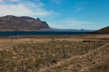 İzlanda güzel çok renkli bahar manzara