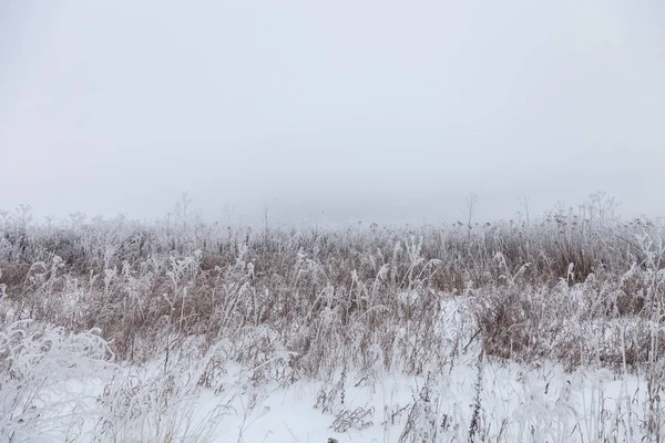 Frost na trawie. Rosyjski prowincjonalny krajobraz naturalny w ponury — Zdjęcie stockowe