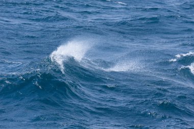 İzlanda'nın güneyinde fırtınalı soğuk deniz dalgaları