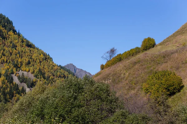 Csodálatos őszi hegyvidéki táj Svaneti. Grúzia — Stock Fotó