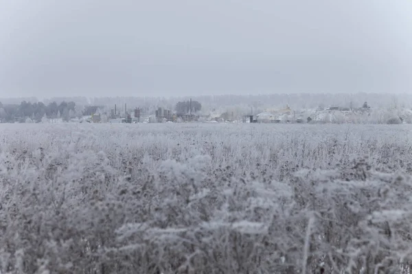 Russische provinciale natuurlijke landschap bij somber weer — Stockfoto