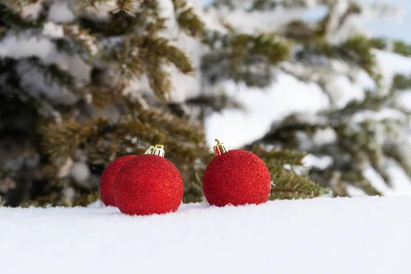 Gałązki drzewa cristmas i jasne kulki na czystym śniegu dla — Zdjęcie stockowe