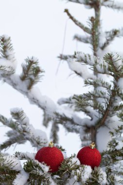 Temiz bir saf kar fo bir cristmas ağaç dalları parlak topları
