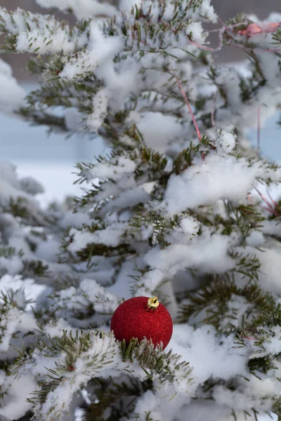 Bright balls on a cristmas tree branches on a clean pure snow fo — Stock Photo, Image