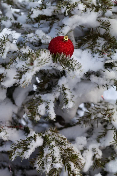 Ljusa bollar på en cristmas trädgrenar på en ren ren snö fo — Stockfoto