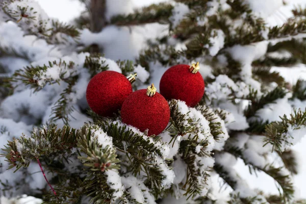 Jasne kulki na cristmas drzewa gałęzie na czystym czystym śniegu fo — Zdjęcie stockowe