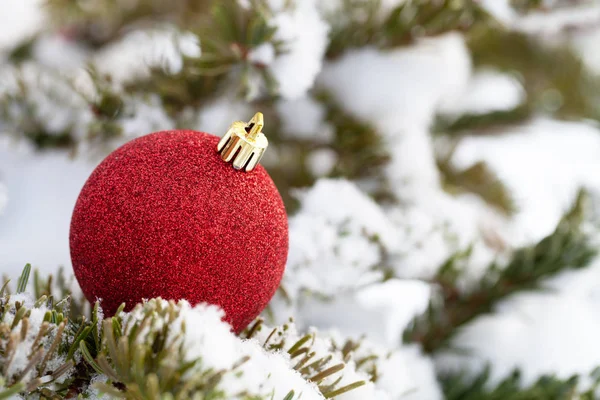 Jasne kulki na cristmas drzewa gałęzie na czystym czystym śniegu fo — Zdjęcie stockowe