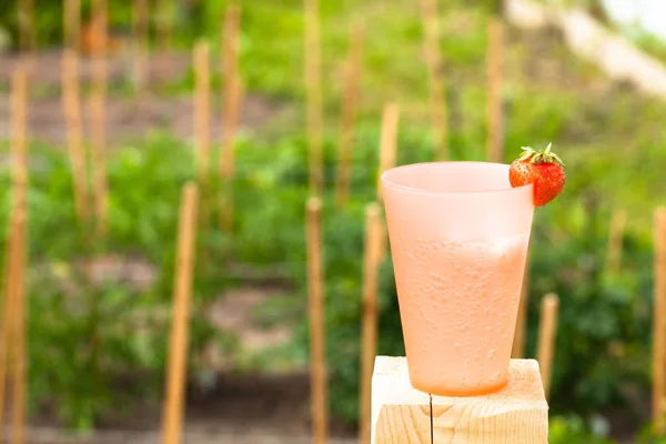Glas mit sprudelndem Wasser und duftenden hellen Erdbeeren in einem — Stockfoto