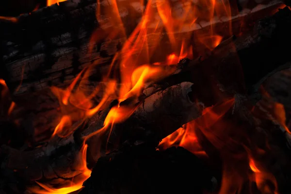 La quema de troncos de madera, cocinar en el fuego, noche cálida, brilla en th —  Fotos de Stock