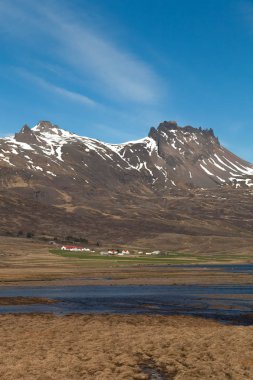İzlanda güzel çok renkli bahar manzara