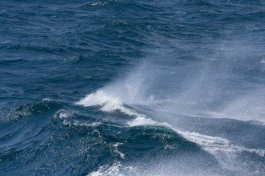 İzlanda'nın güneyinde fırtınalı soğuk deniz dalgaları