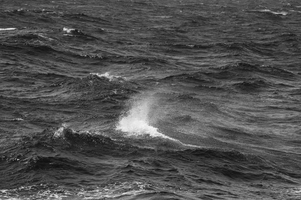 Vlny bouřného studeného moře na jihu Islandu. Tónovaný — Stock fotografie