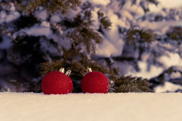 Ветви рождественской елки и яркие шары на чистом снегу для — стоковое фото